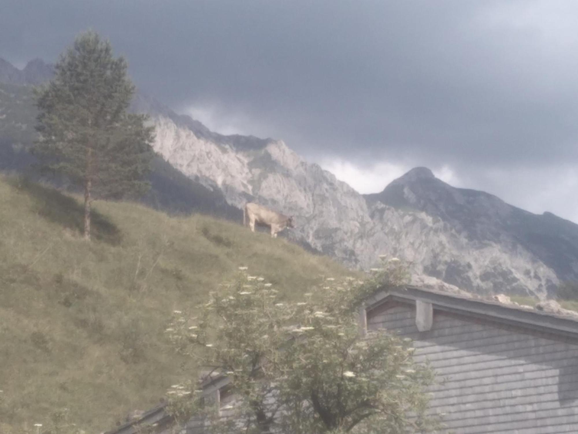 Holzhaus Besler Villa Bad Hindelang Exterior photo